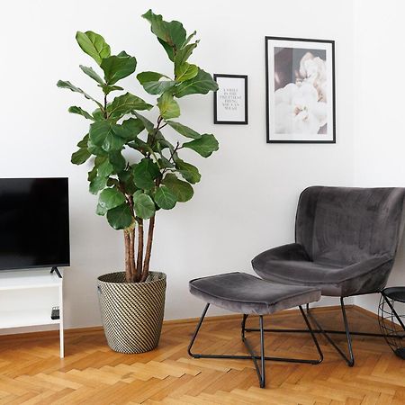 #29 Heaven Messe/Prater Apartment Vienna Luaran gambar
