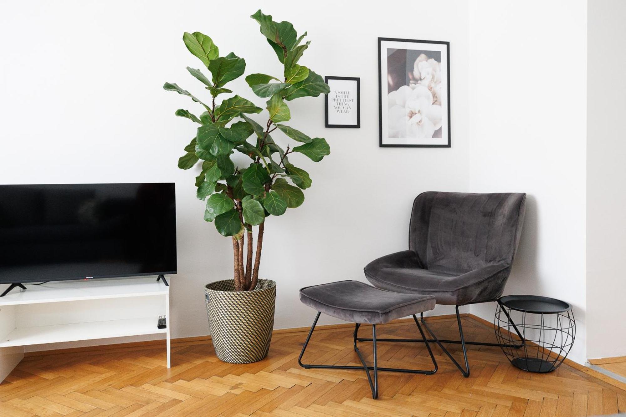 #29 Heaven Messe/Prater Apartment Vienna Luaran gambar